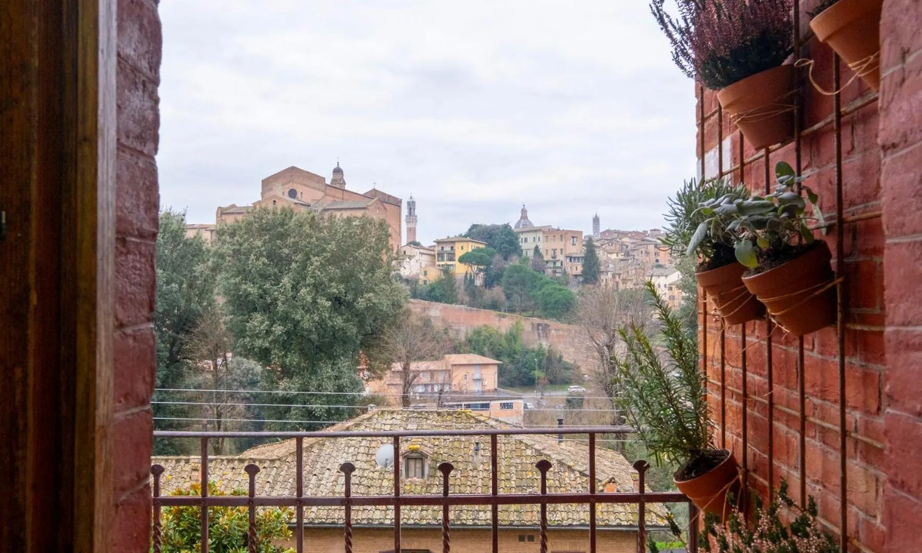 Apartmán My Honeyed Corner Siena 0*,